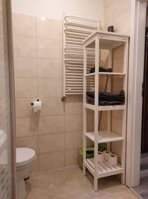Uroczy Apartament W Scislym Centrum Gizycka 吉日茨科 外观 照片